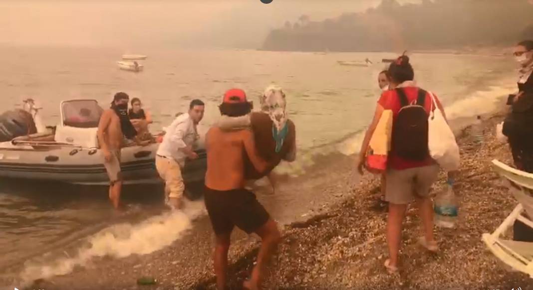 Milas'ta başladı, Bodrum'a sıçradı! 2 çıkarma gemisi bölgede 25